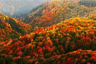 Poland