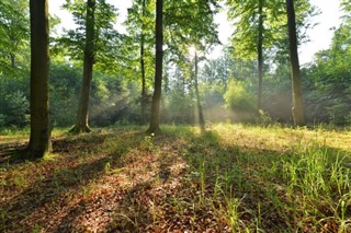 Poland