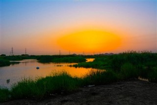 Saudi