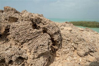 Saudi