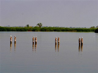 Senegal