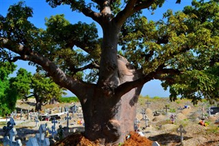 Senegal