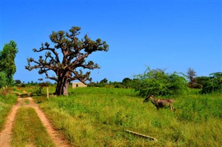 Senegal