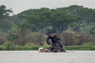 Senegal