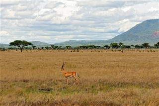 Senegal