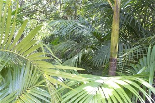 Seychelles