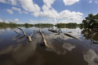 Suriname