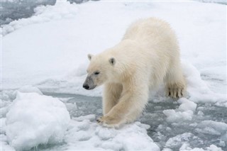 Svalbard