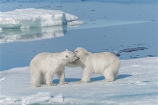 Svalbard