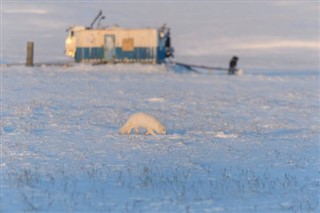 Svalbard