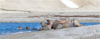 Svalbard