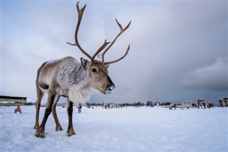 Svalbard