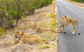 Swaziland