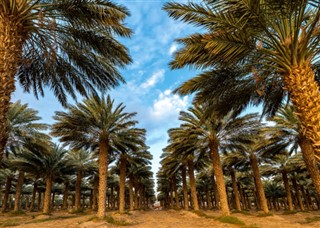 Syria