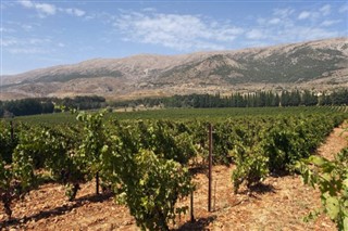 Syria