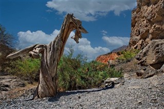 Tajikistan