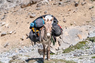 Tajikistan