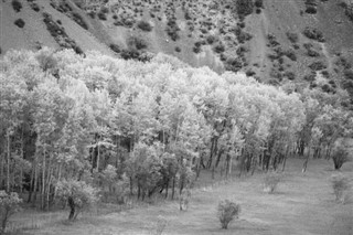 Tajikistan