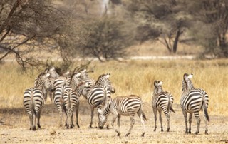 Tanzania