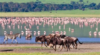 Tanzania