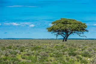 Tanzania