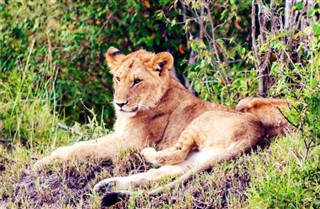 Tanzania