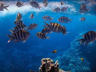 Tokelau