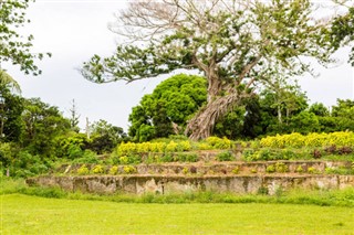 Tonga