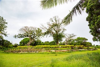 Tonga