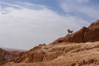 Tunisia