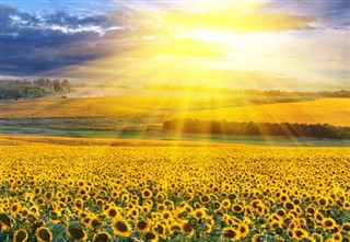 Ukraine