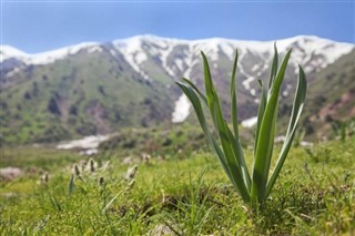 Uzbekistan