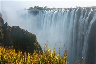 Zambia