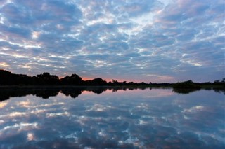 Zambia