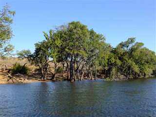 Zambia