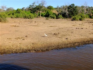 Zambia