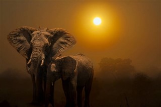 Zimbabwe