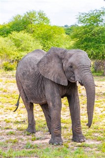 Zimbabwe