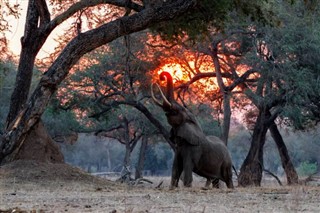Zimbabwe
