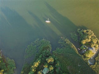 Đảo