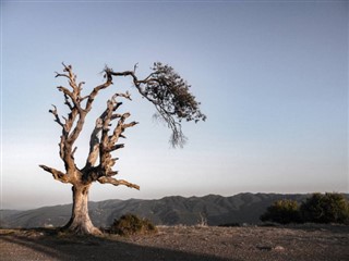 Algérie