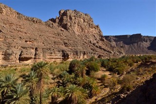 الجزائر