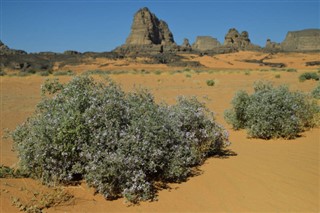 Algeria