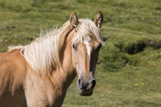 Andorra