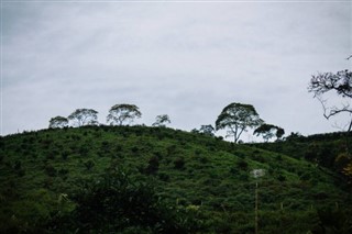 এ্যান্ডোরা