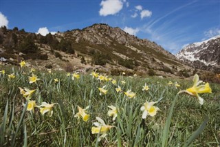 Andorre