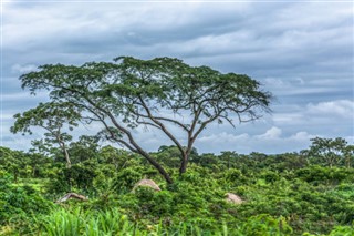 অ্যাঙ্গোলা