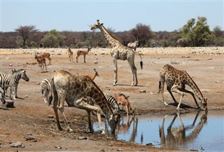 Angola