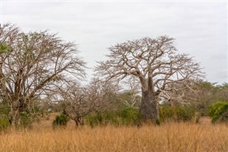 Angola time zones