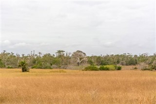 Angola